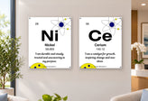 Nice